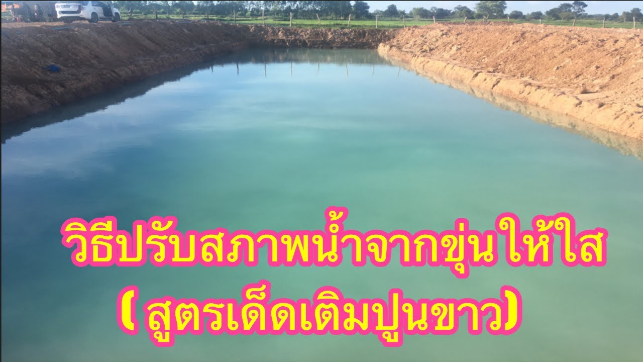 วิธีปรับสภาพน้ำขุ่นให้ใสขึ้น