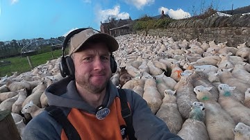 I should have started this job earlier!