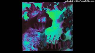 Watch Pale Saints Sea Of Sound video