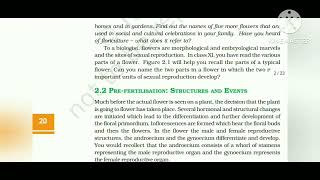 SEXUAL REPRODUCTION IN FLOWERING PLANTS || CHAPTER 2 || BY NCERT MALE REPRODUCTIVE SYSTEM