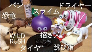 ガチャ、色々開封 ~WILD RUSH, 招福犬, 恐竜発掘記, 超熟Pascoスクイーズ, ぷにぷにスライム,もっちリアルタイヤ,ドライヤーコードリール,とび箱ネコ~
