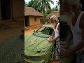 Amazing Coconut leaf Ferrari 296 GTB Craft 🌿 #handcrafted #leafart #shorts #coconutleaf