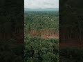 large scale removal of forests.#enviromental #study #history