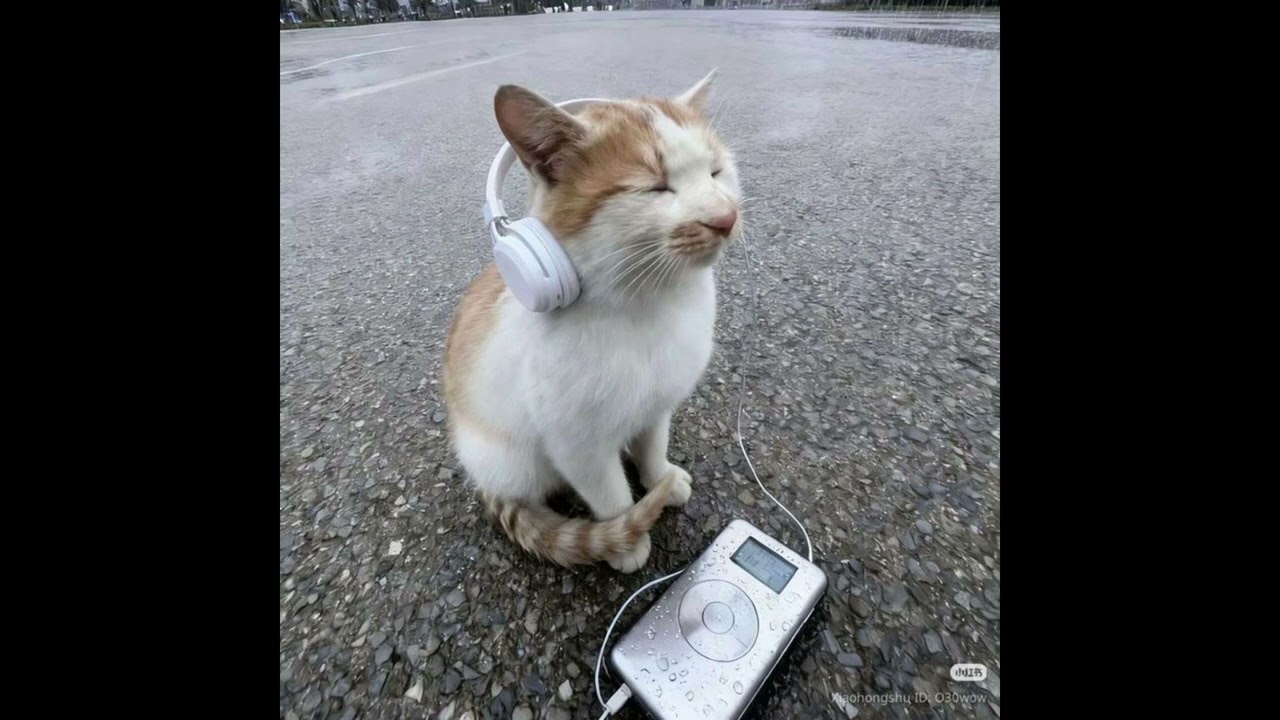 [FREE FOR PROFIT] Prettifun type beat - "pret1" 