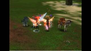 Silkroad Genesis I  Corleone I Guild Wars