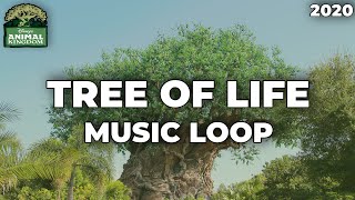 Tree Of Life Area Music Loop - Disney&#39;s Animal Kingdom (2020)