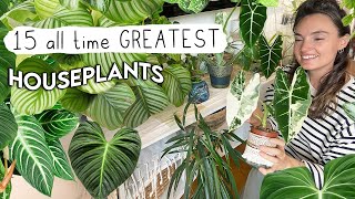 I Can Only Own 15 Plants... WHICH DO I CHOOSE?! 🌿 Top 15 Houseplants