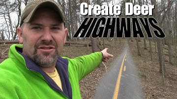 Create Deer Highways to Your Treestand!