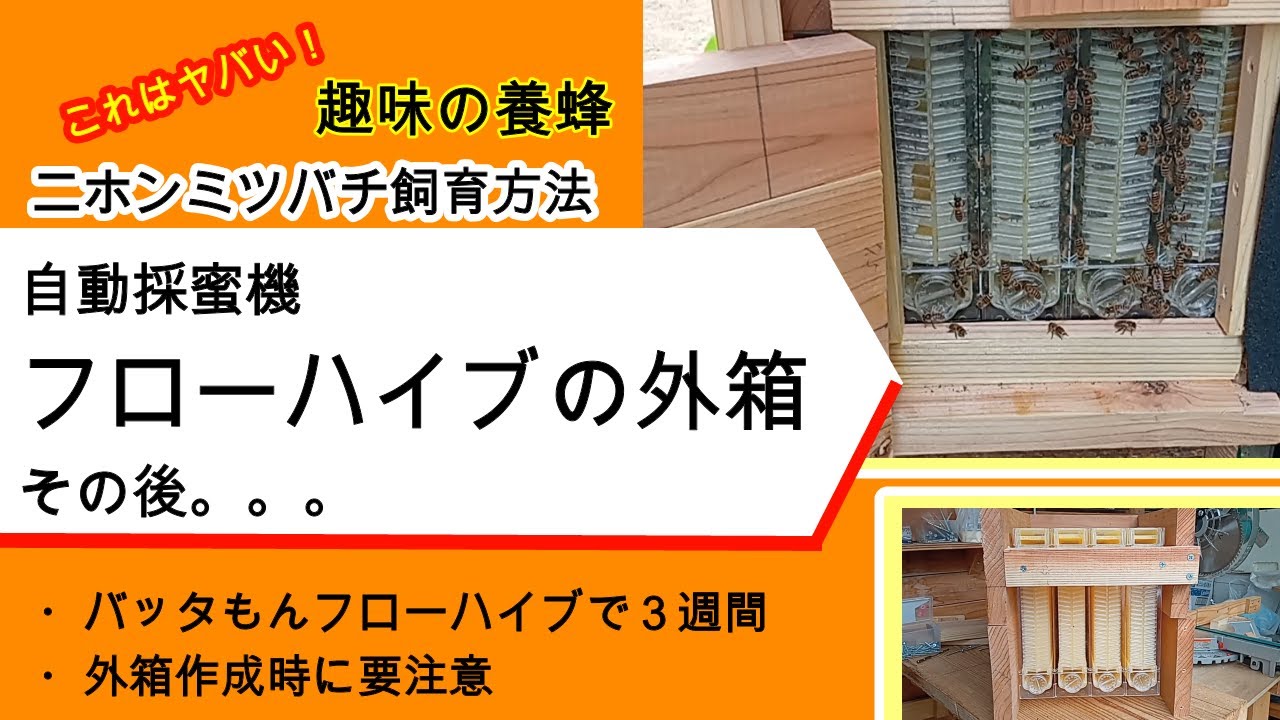 趣味の養蜂】ニホンミツバチ用重箱式巣箱の上にフローハイブ設置後の