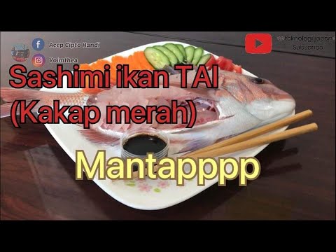 Video: Di Mana Untuk Makan Sashimi Ayam Mentah (atau Torisashi) Di Tokyo, Jepun