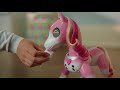 Zoomer - Pony Moment Training  | Intertoys