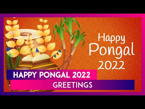Pongal 2022 Greetings: Share Latest Wishes, Images & Thai Pongal Thoughts With Your Dear Ones