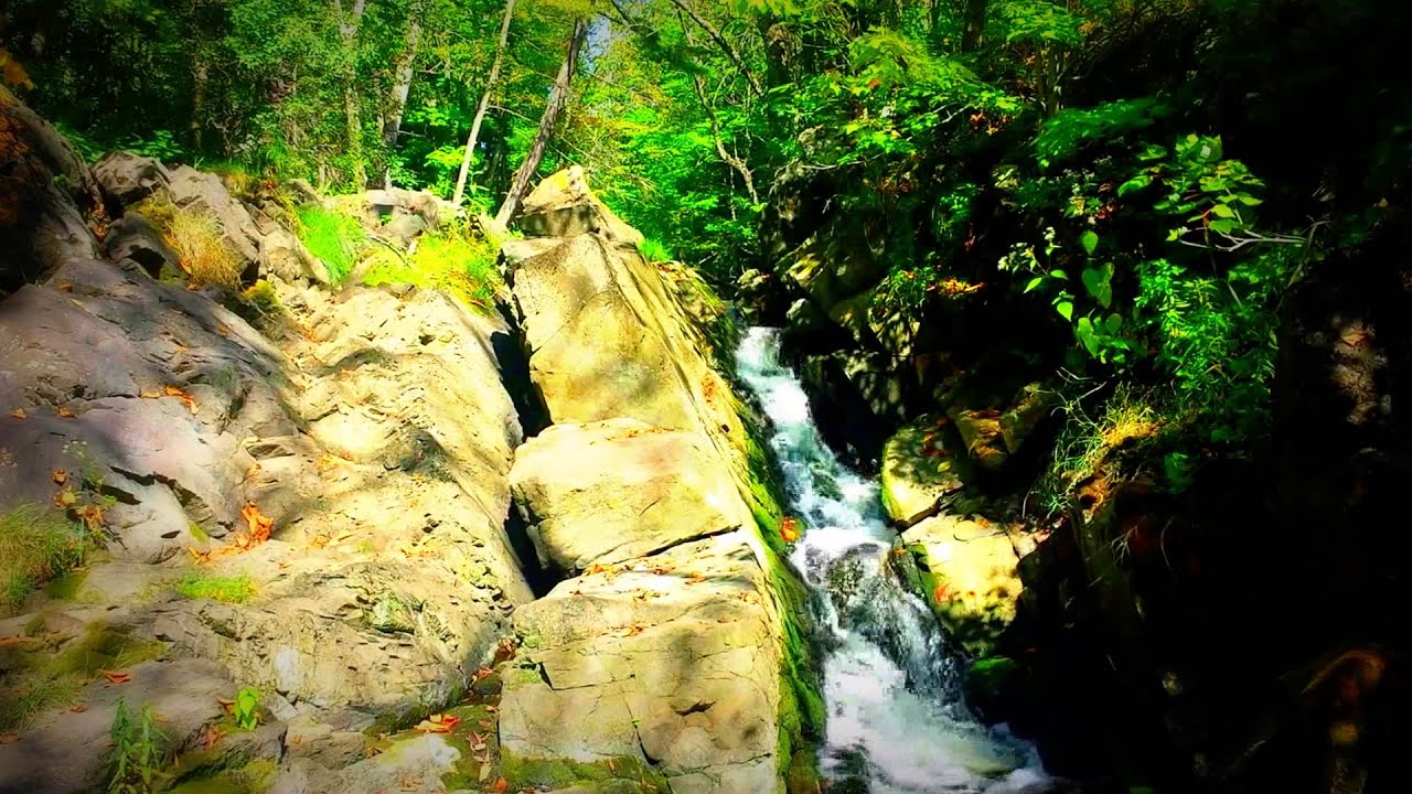 videos for cats birds and squirrels Blissful Waterfall - 2 Hour Relaxing Forest Sound of Nature (Sleep, Study, Relax, Meditation)