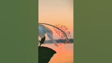 قال إنما أشكوا بثى وحزني  إلي الله سورة يوسف #القرآن_الكريم #المسجد_الحرام ❤️🎧