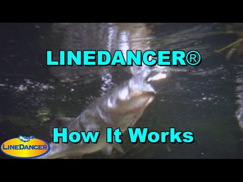 How a LineDancer® Works