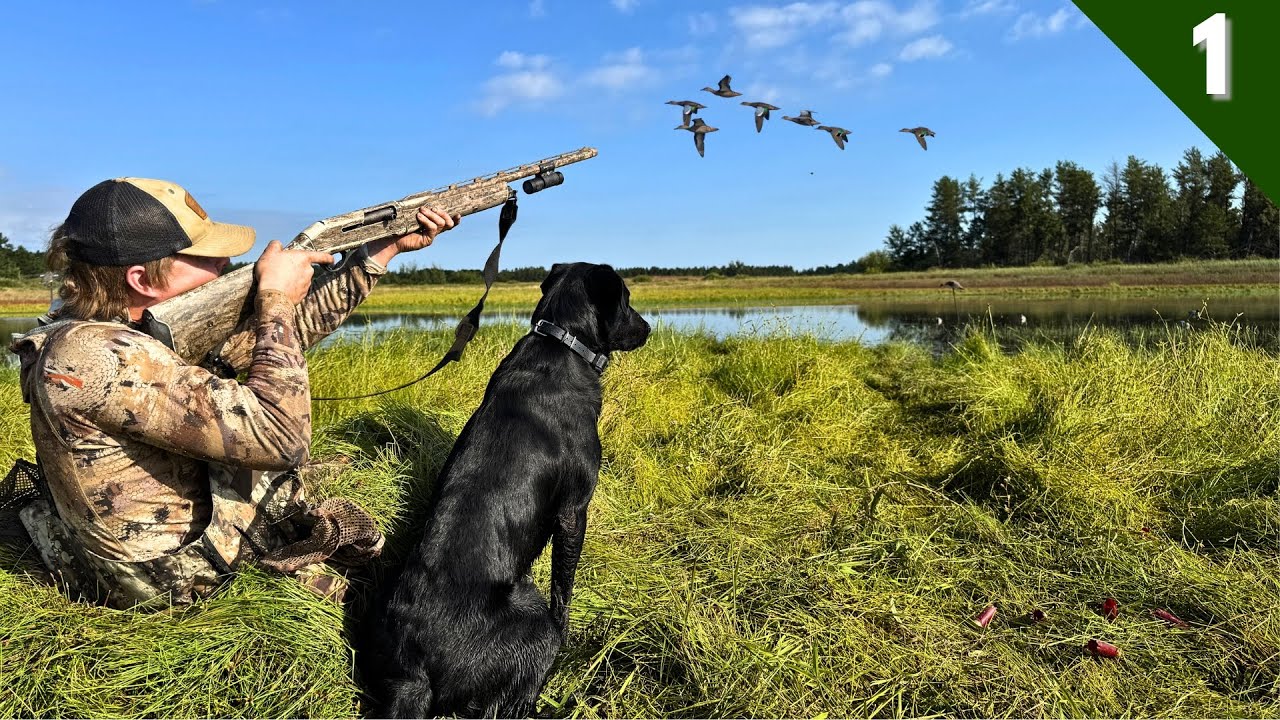 Opening Day TEAL HUNTING | Exploring Public Land In A NEW STATE