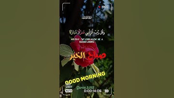 سورة المؤمنون صباح الخير #quran ء#صباح_الخير  #القران_الكريم #القران_الكريم #القرانالكريم #quran