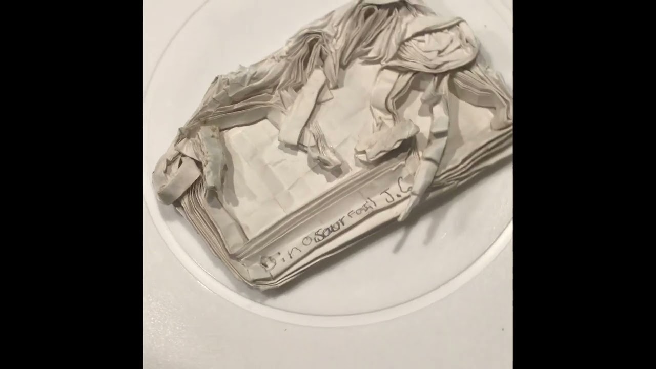 Origami Dinosaur Skeleton (Nguyen Minh Duc)