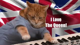 Keyboard Cat Loves The Queen!