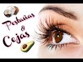 Pestañas y Cejas mas largas/pobladas con remedio casero super Facil!