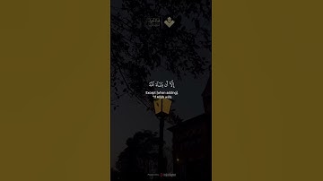 نور مابين الجمعتين | من سورة الكهف | الشيخ محمد صديق #المنشاوي