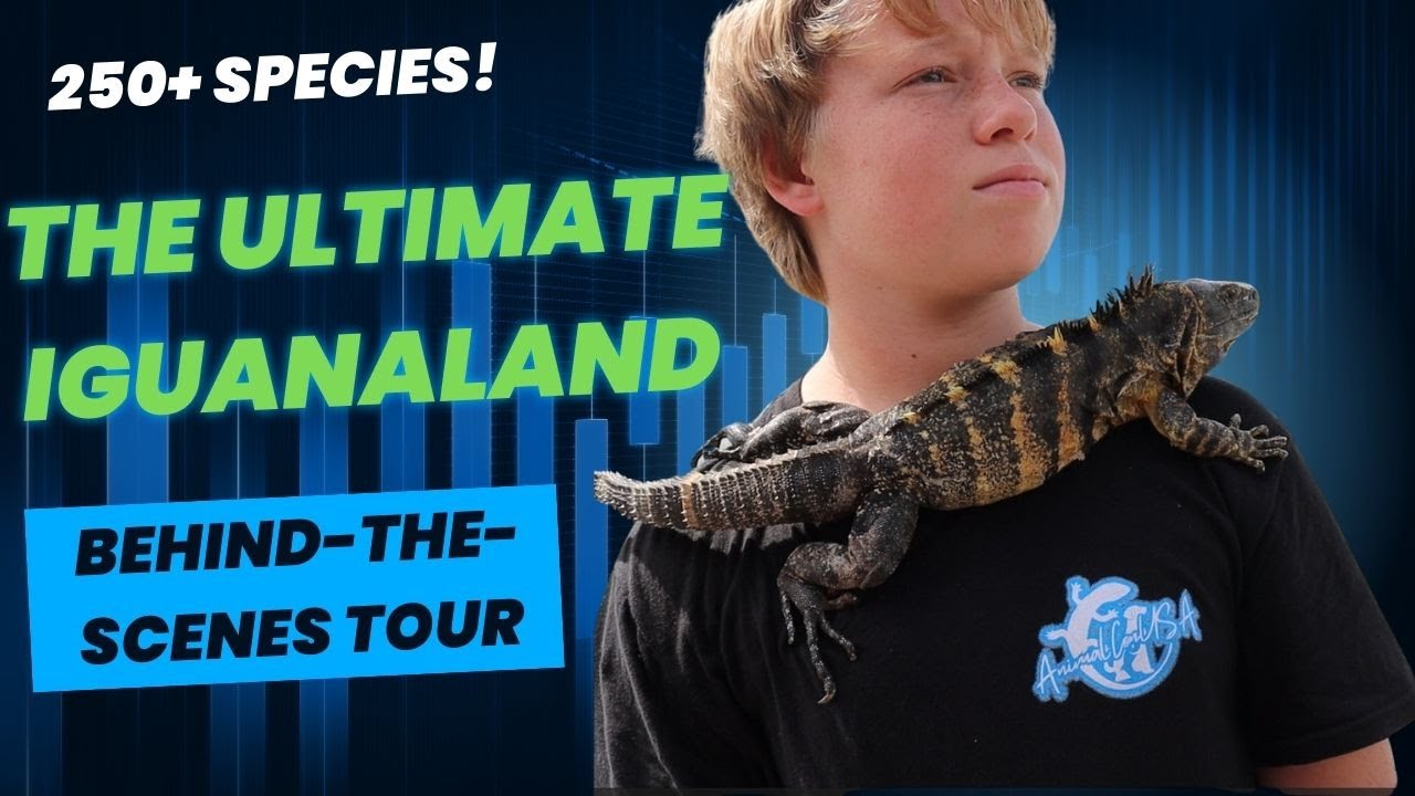 Private Tour of Iguanaland: Meeting the Most Endangered Lizards!