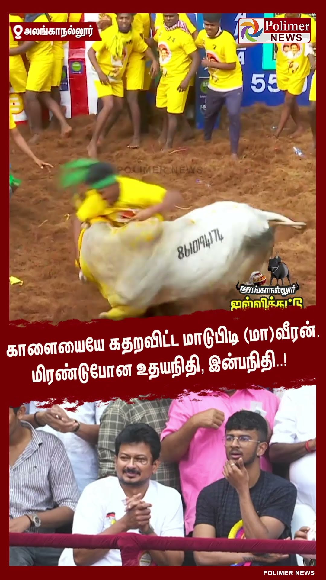 கதறவிட்ட மாடுபிடி (மா)வீரன்.. மிரண்டுபோன உதயநிதி, இன்பநிதி..!  #shorts | #alanganallurjallikattu