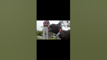 Waterproof GPS Dog Tracker - Location & Activity, Unlimited Range & Works Any Collar,🐕 #gps #tracker