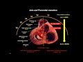 Expert perspective with andres enriquez md predicting ventricular arrhythmias with 12lead ecg