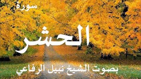 سورة الحشر بصوت الشيخ / نبيل الرفاعي 59