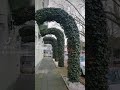 ام كلثوم حيرت قلبي معاك