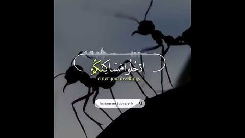 حتى إذا أتوا على واد النمل قالت نملة - سورة {النمل} #ياسر_الدوسري إمام الحرم المكي