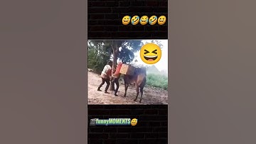 😅funnyCLIPS #moments #viralvideo #reels #funnyvideo #shorts #brickscreen #edit #foryou