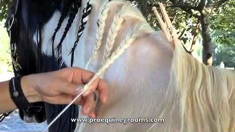 Dressage Button Braids with Yarn