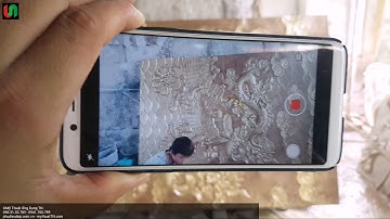 Tranh phu dieu tai Ha Noi (phu dieu ca chep hoa rong) | 098.31.32.789