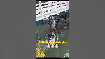 مواقف مضحكة مش خسارة فيها الباقة 