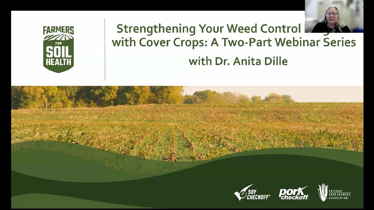 Strengthening Your Weed Control Program with Cover Crops: Part 2 with Dr. Anita Dille