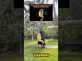 Unlock Your Hamstrings 🔥✅| The Anatomy of a Standing Forward Bend (Uttanasana)# yoga#shorts#viral
