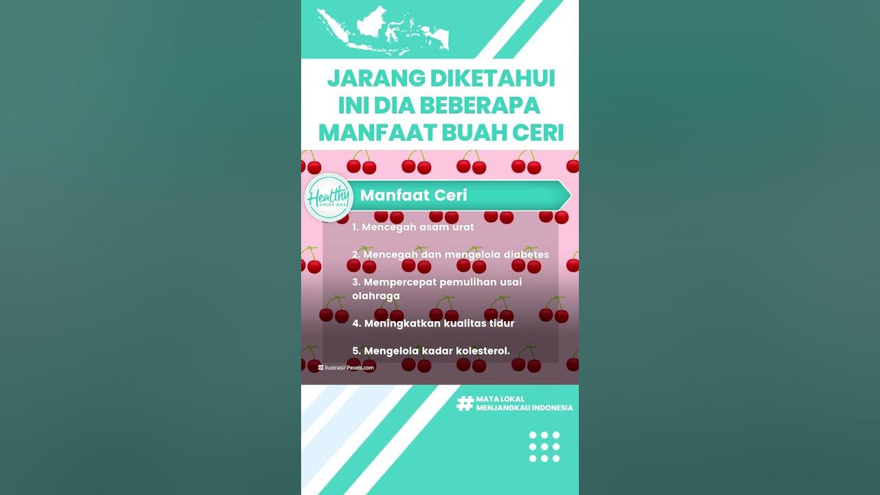 Makan Buah Ceri Bisa Meningkatkan Kualitas Tidur hingga Mengontrol Kadar Kolesterol Makan Buah Ceri Bisa Meningkatkan Kualitas Tidur hingga Mengontrol Kadar Kolesterol