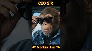 Monkey Bhai ko pilot ne seat se utha diya CEO sir 😂😂 #shorts #comedy #funny #ai #monkeybhai