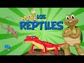 Los Reptiles | Vídeos Educativos para Niños