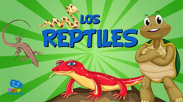 ¿Cuáles son las funciones de los reptiles?