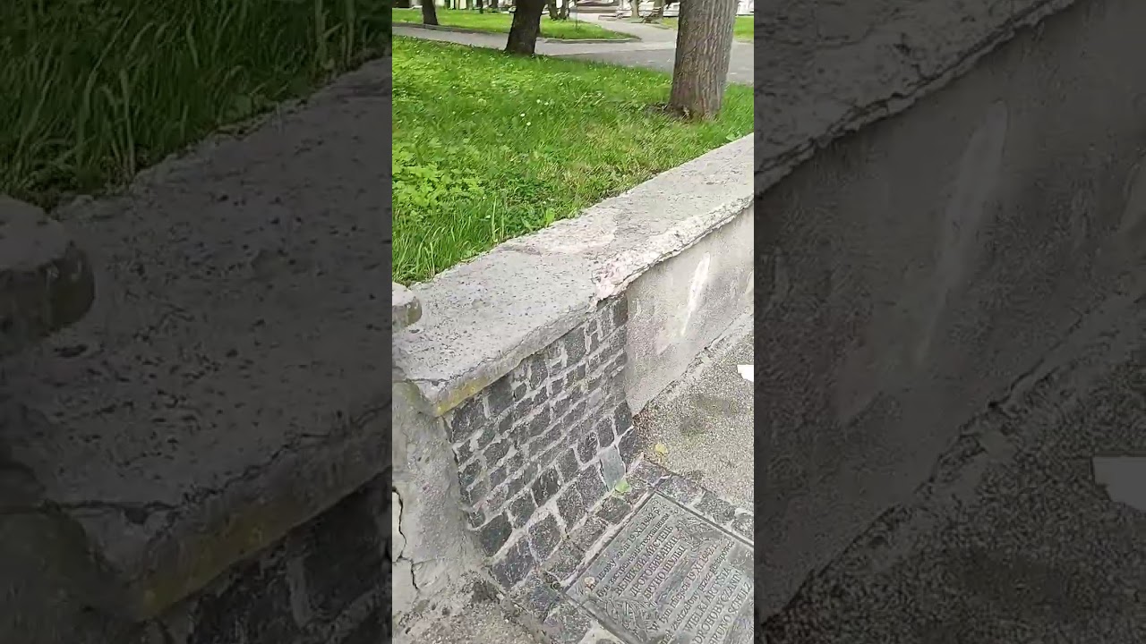 Bruno Schulz the writer was shot here by a 