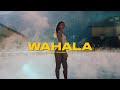 Afrobeat Instrumental "WAHALA" Ckay Ft Olamide type beat 2024