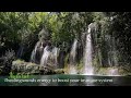 Natural Healing Waterfall Sounds 💖Healing Energy Encoded To Boost Your Immune System