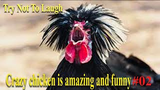 TRY NOT TO LAUGH .. Crazy chicken is amazing and funny..  ANIMALS funniest - PART # 02