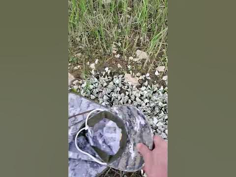 Сибирские красоты - YouTube