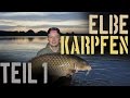 Karpfenangeln an der Elbe – Magie eines Flusses PART I