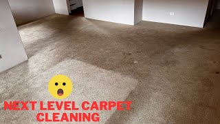 Next Level Carpet Cleaning  The kind of Carpet Cleaning Job we like to sink our teeth into!