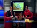 Puppy Training - News12 New Jersey THE PET STOP Jan 28, 2012 Puppy Training - News12 New Jersey THE PET STOP Jan 28, 2012